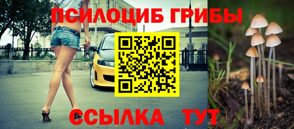 Семилуки  Псилоцибиновые грибы GOLDEN TEACHER  Вход с VPN 