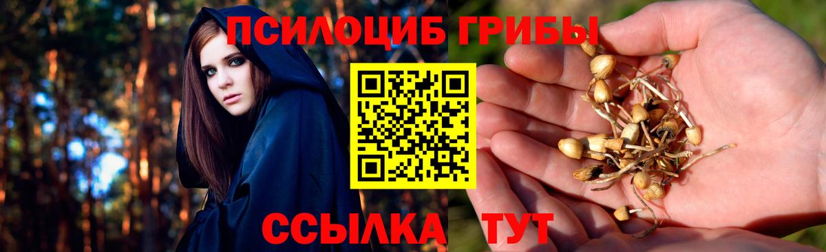 Псилоцибиновые грибы Psilocybine cubensis Семилуки